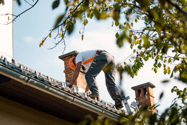 Best Gutter Installation and Repair  in Fanwood, NJ